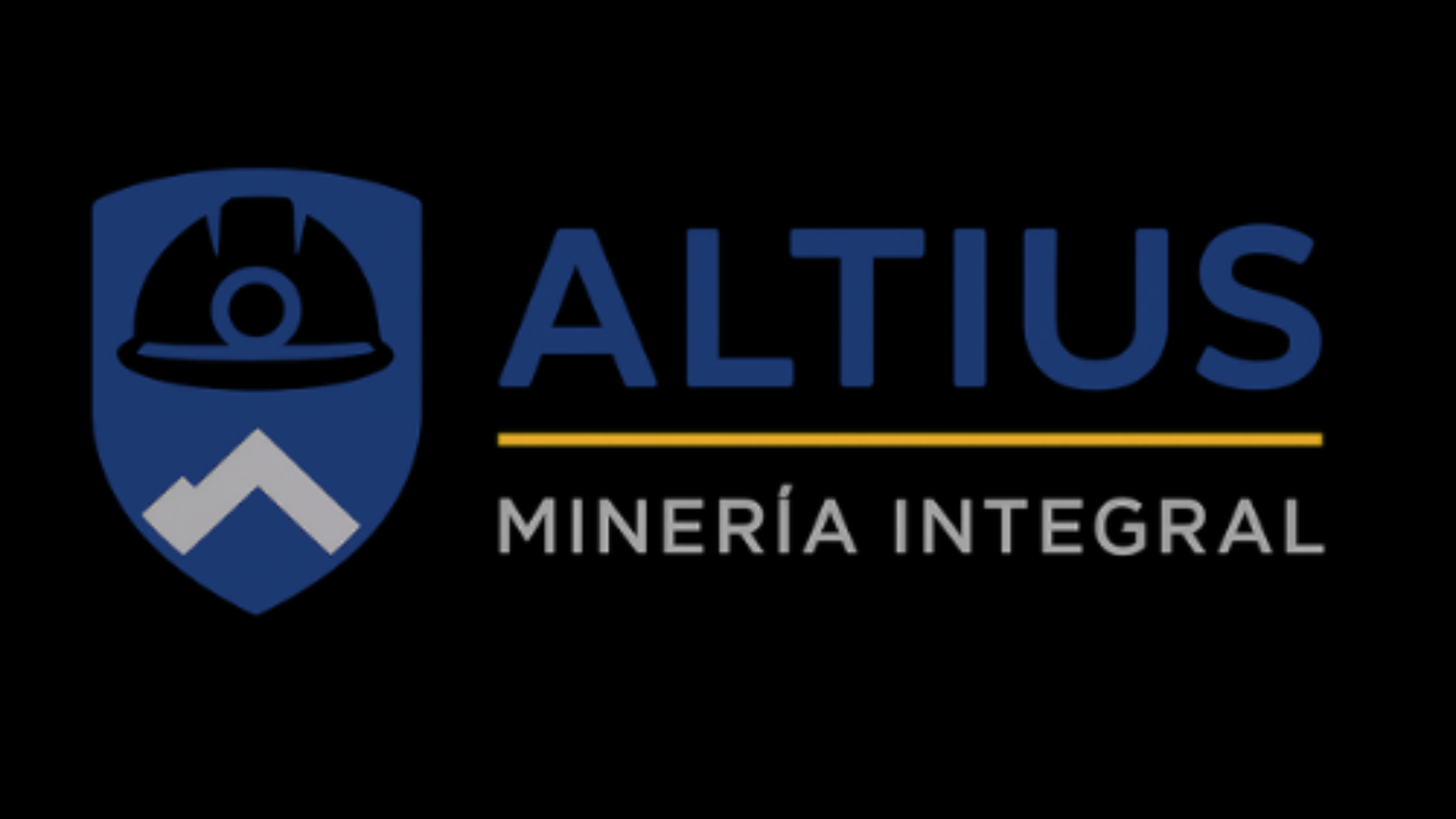 Aula Virtual Altius